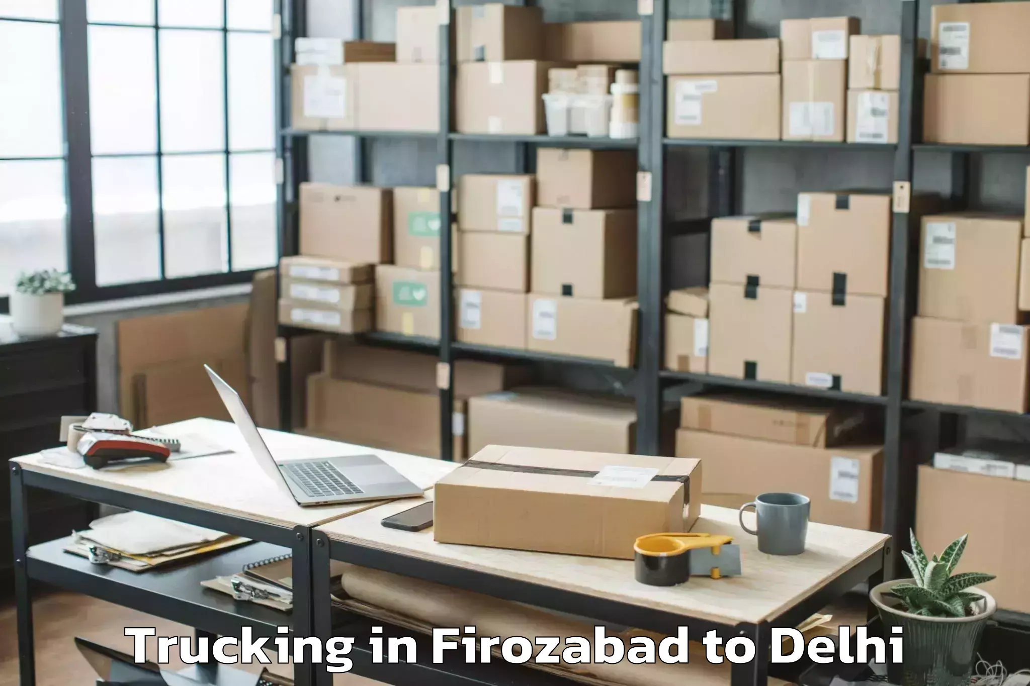 Expert Firozabad to Sarojini Nagar Trucking